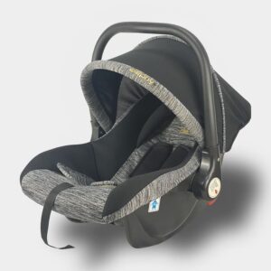 Baby Car Carrier