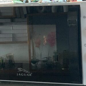 Jaguar Microwave